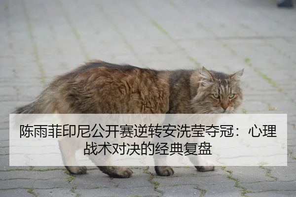 陈雨菲印尼公开赛逆转安洗莹夺冠：心理战术对决的经典复盘