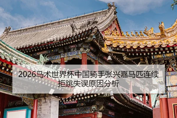 ma-shu-shi-jie-bei-zhong-guo-qi-shou-zhang-xing-jia-ma-pi-lian-xu-ju-tiao-shi-wu-yuan-yin-fen-xi-2-139.jpg