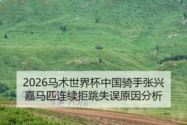 2026马术世界杯中国骑手张兴嘉马匹连续拒跳失误原因分析