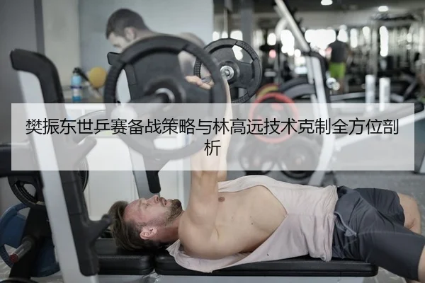 樊振东世乒赛备战策略与林高远技术克制全方位剖析